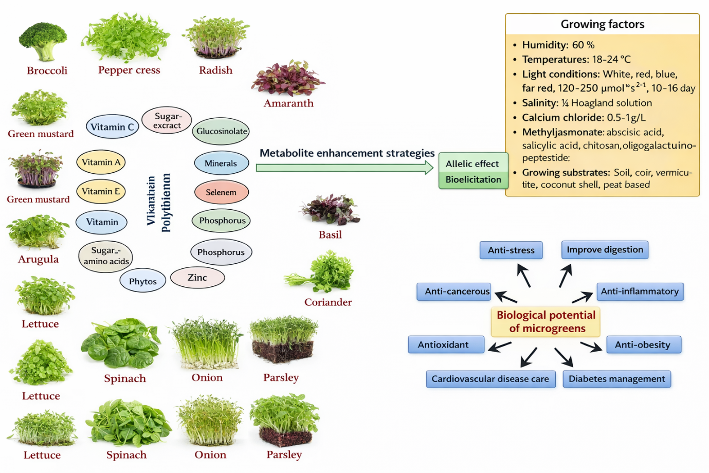 Microgreens